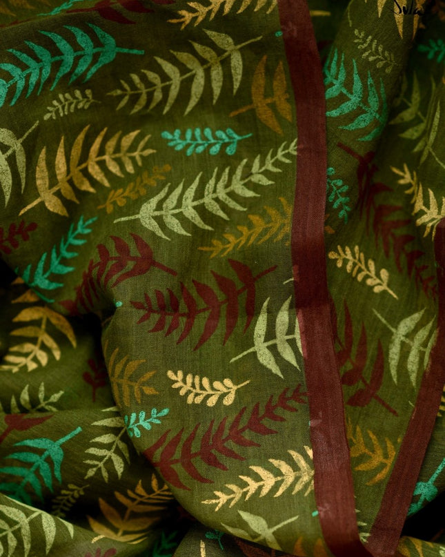 Mysterious Ferns Of Newzealand